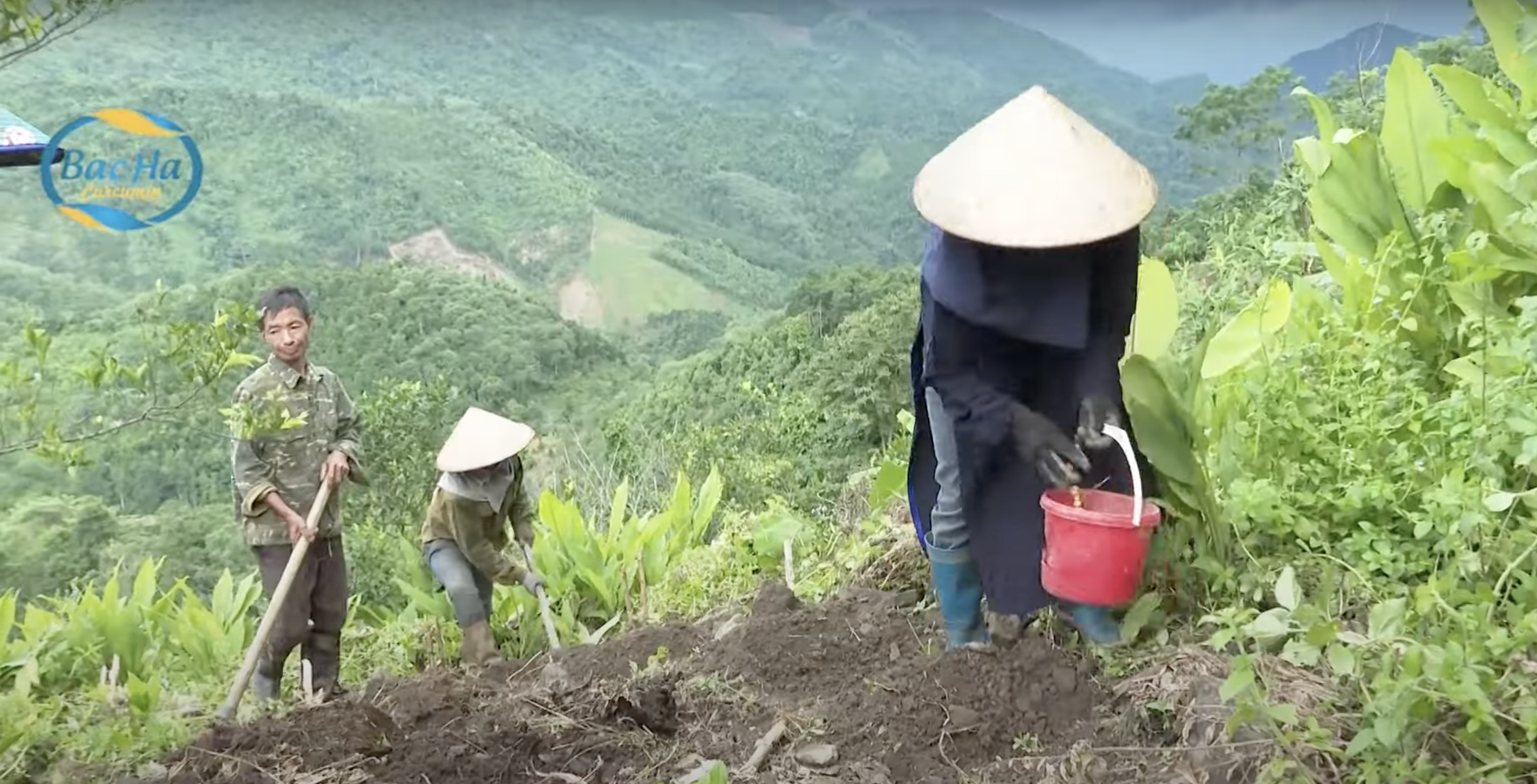 Vùng nguyên liệu